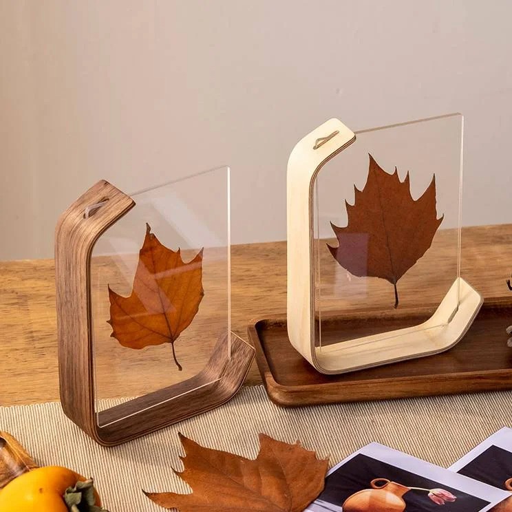 Phototune Dock Acrylic Dust Cover