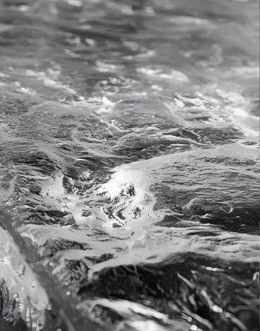 WaveRider