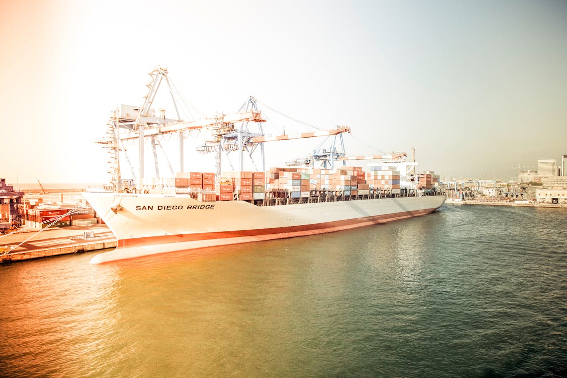 China to Germany Sea Freight Forwarder International Logistics Service