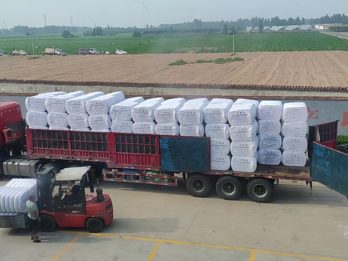 Export Packaging Line