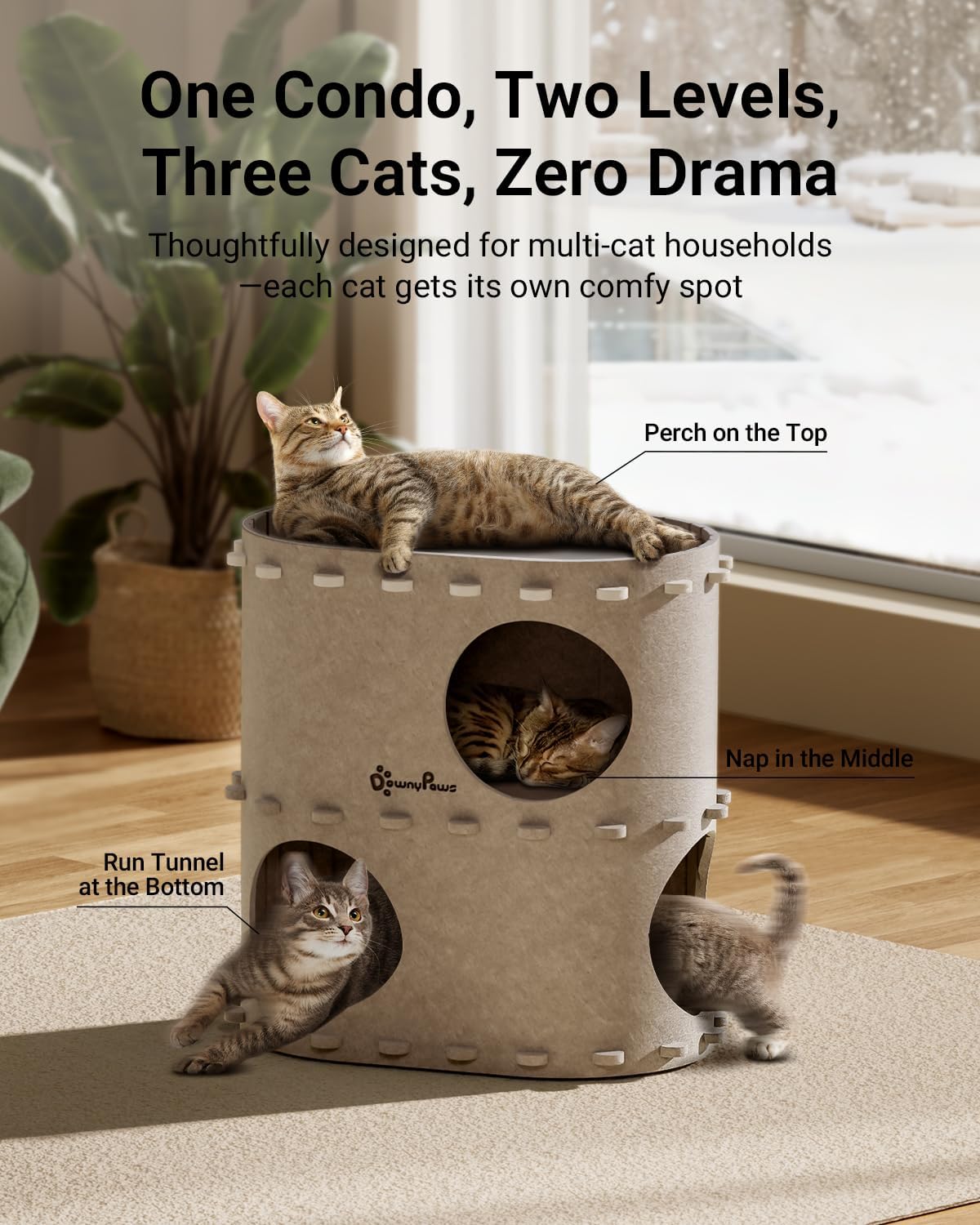 Cozy Polyester Felt Cat House | Enclosed Play Tunnel & Bed for Indoor Kittens
