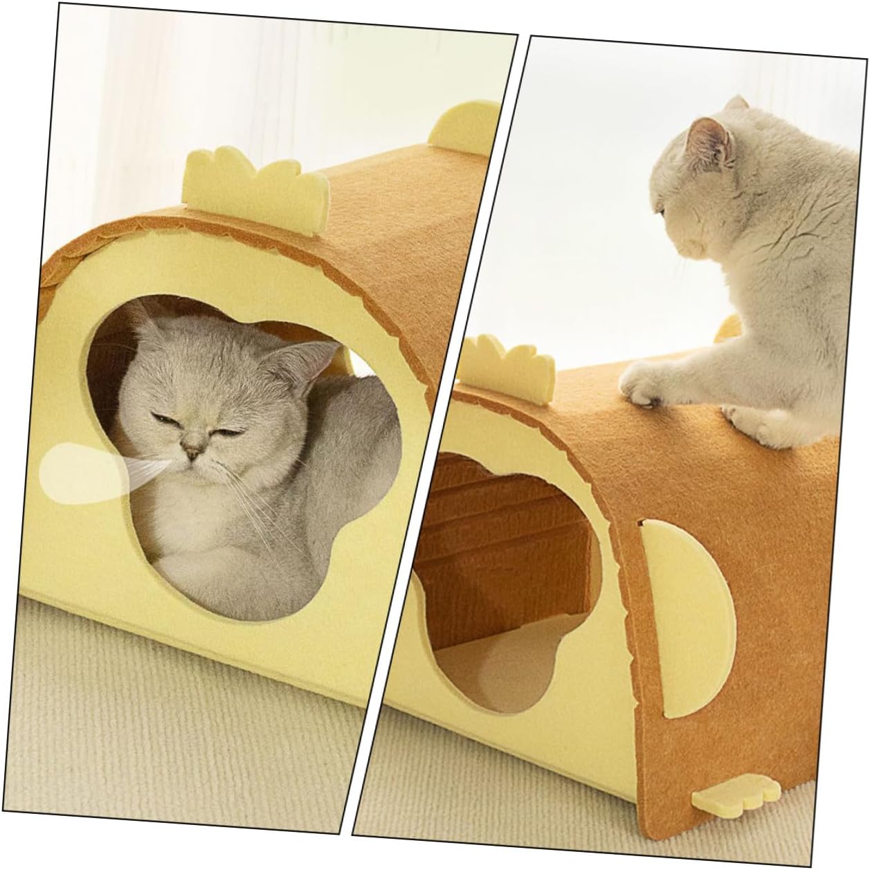 Premium Foldable Cat Tunnel | Enclosed Cozy Felt Cave Bed for Indoor Pet Comfort