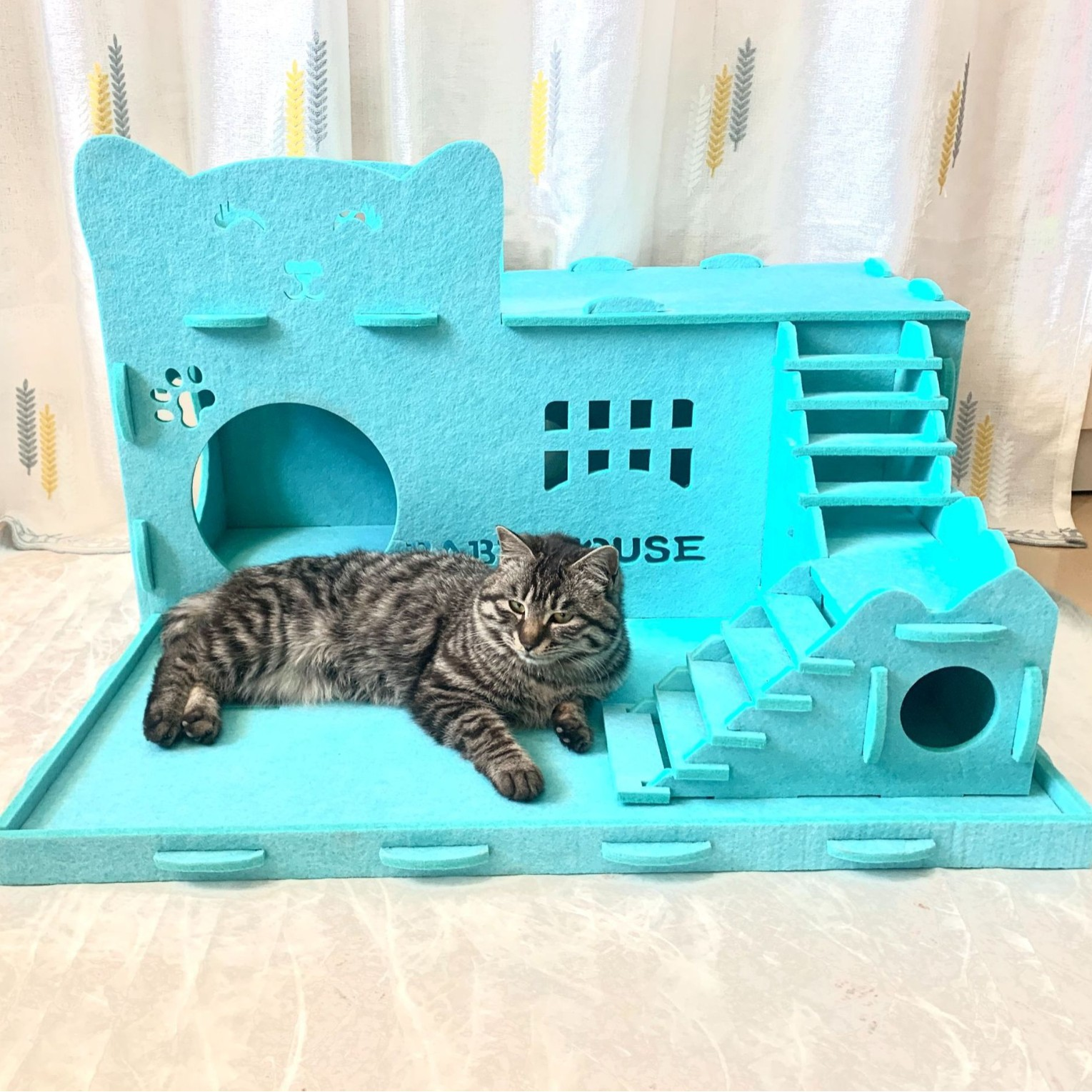 Foldable Cat Hideaway Tunnel | Large Cozy Felt Cave Bed for Kittens & Indoor Pets