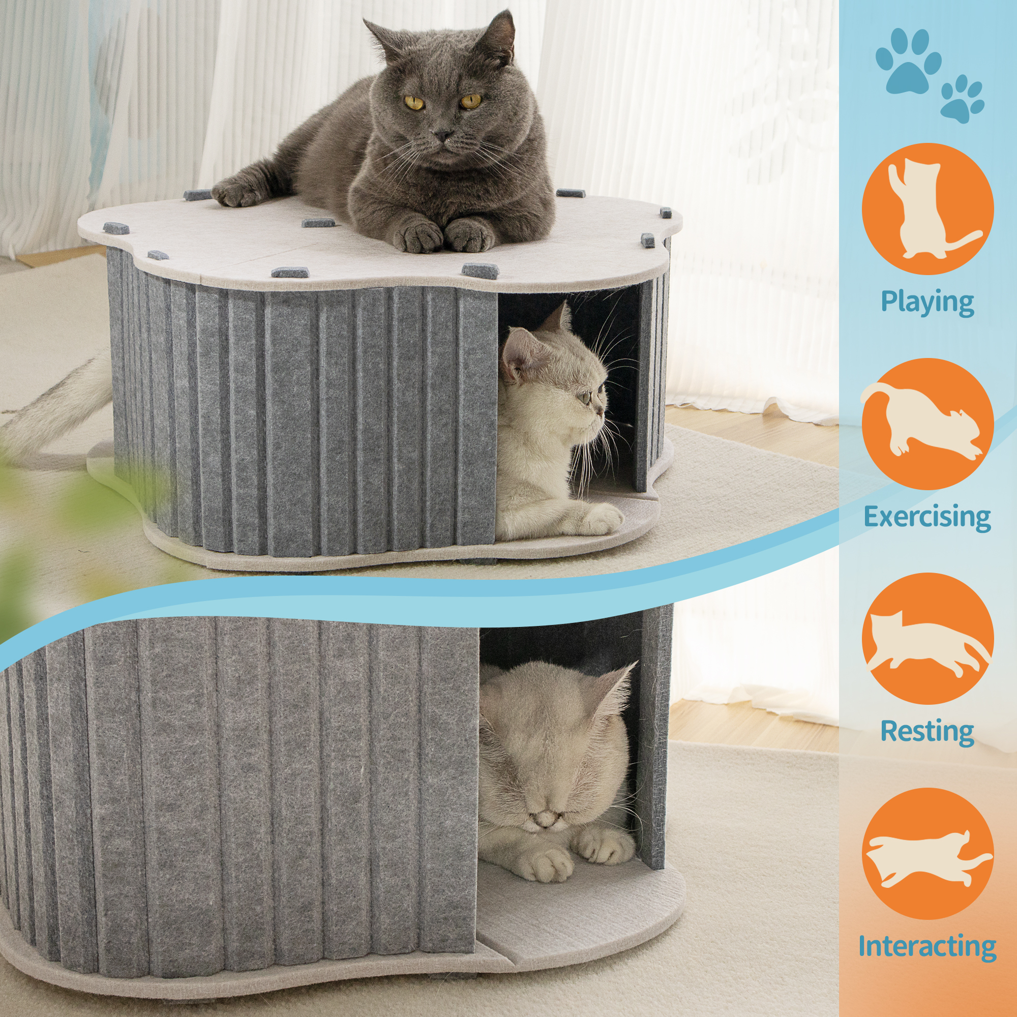 Cozy Felt Cat Bed & Cave, Foldable Scratch Resistant Tunnel