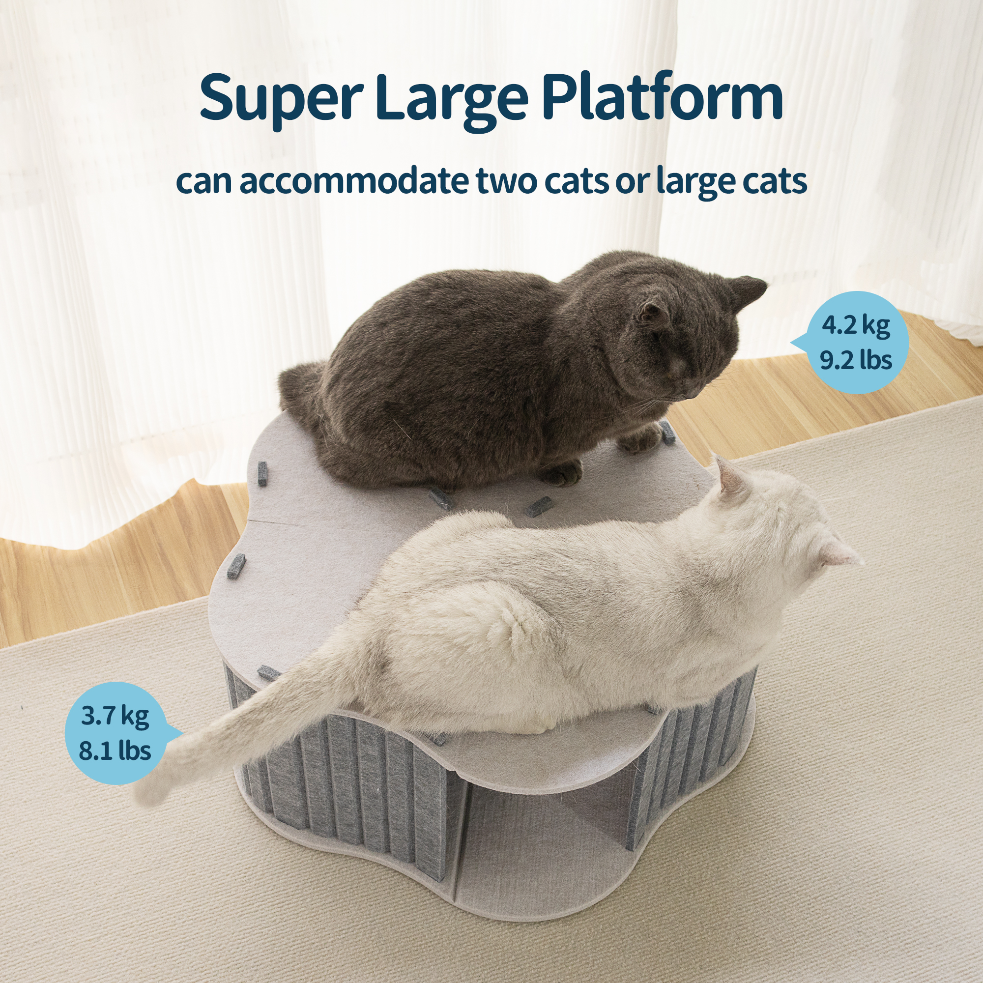 Cozy Felt Cat Bed & Cave, Foldable Scratch Resistant Tunnel
