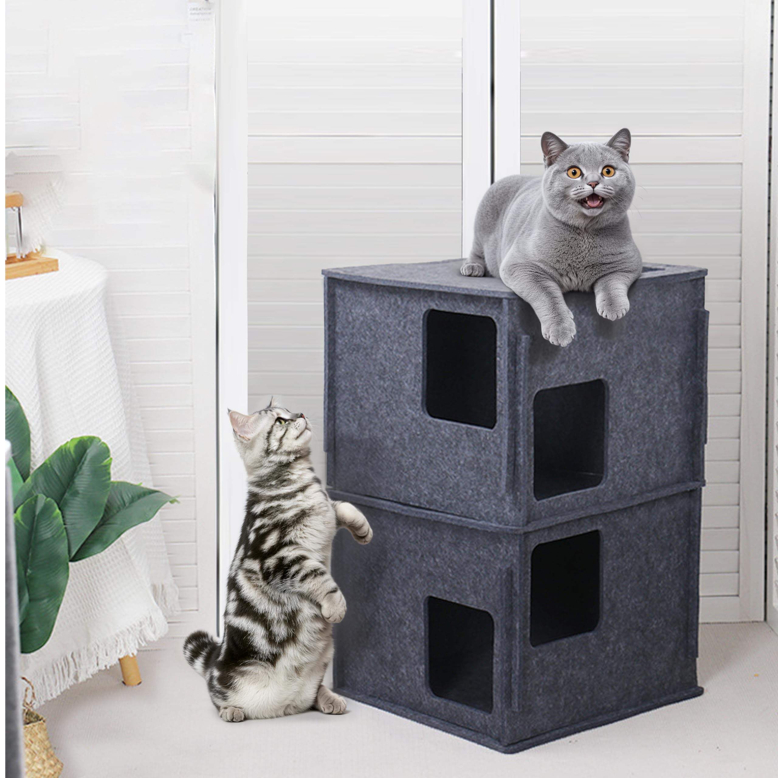 Cozy Scratch Resistant Polyester Felt Cat Bed & Cave Foldable Large Hideaway Tunnel for Kittens