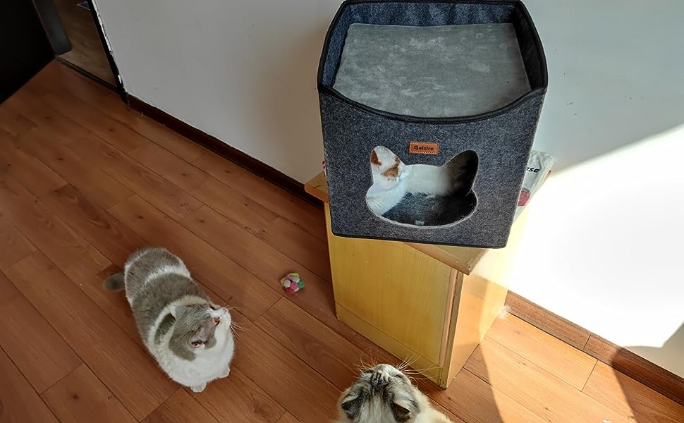 Custom Rectangle 2 Layer Durable High Quality Sustainable Cat Bed Small Folding Felt Pet Cat Nest with Button Closure