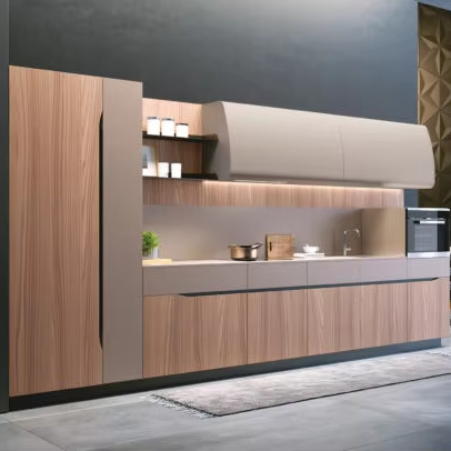 Stainless Base Cabinet with Pull-out Shelves
