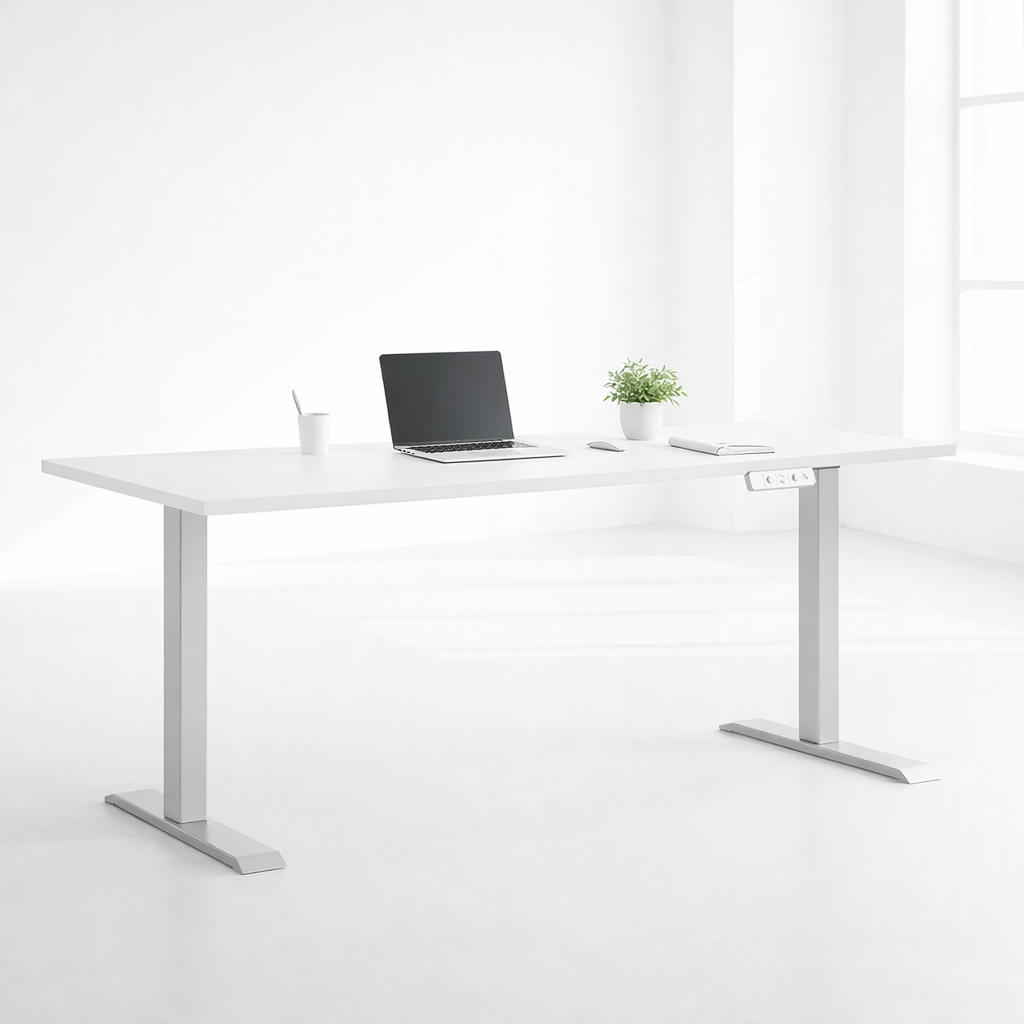 ZY-02 Dual Motor 2-Stage Standing Desk Multi-Monitor Creative Studio Workbench