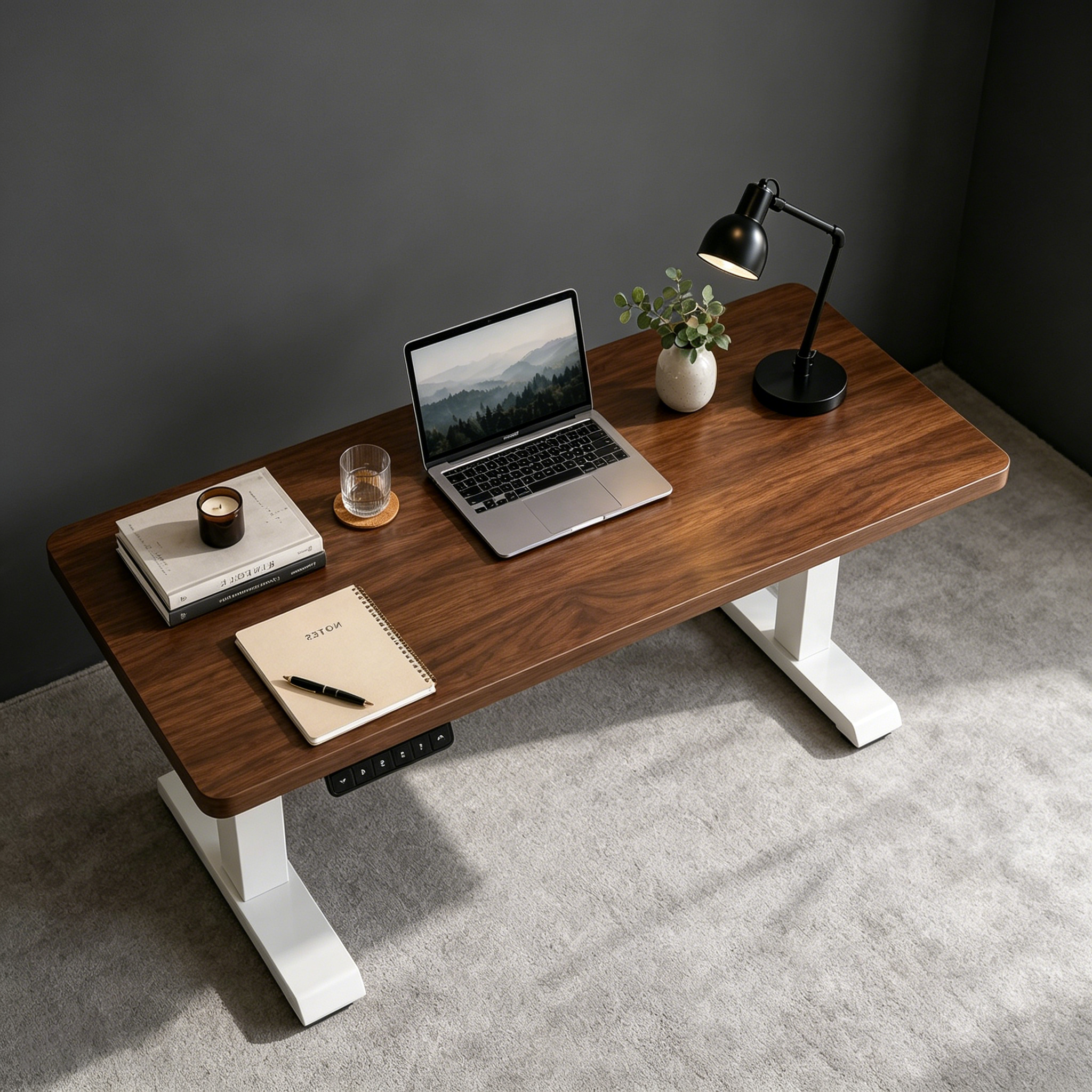 ZY-02 2-Stage Dual Motor Computer Standing Desk with Programmable Memory for Commercial Interiors