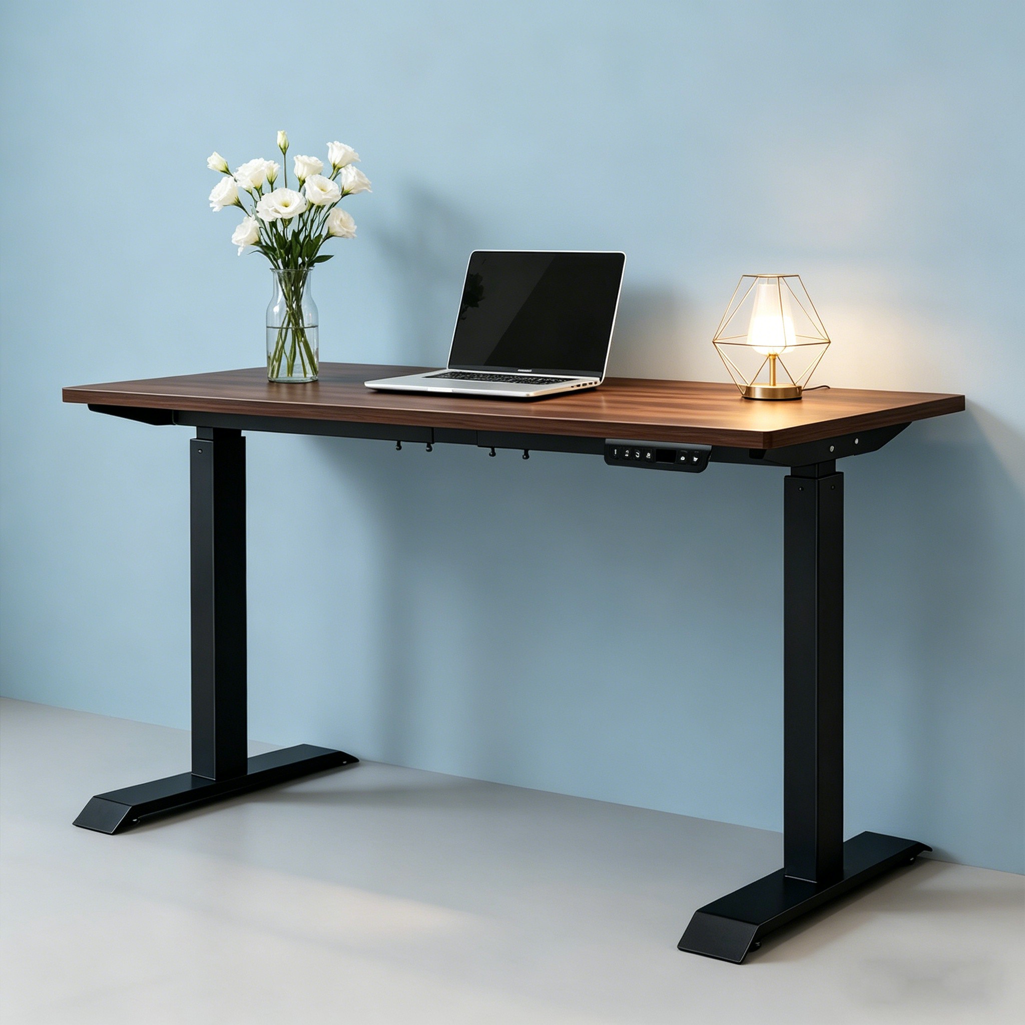 ZY-02 Dual Motor 2-Stage Electric Standing Desk with High Load Capacity and Wholesale Office Solution