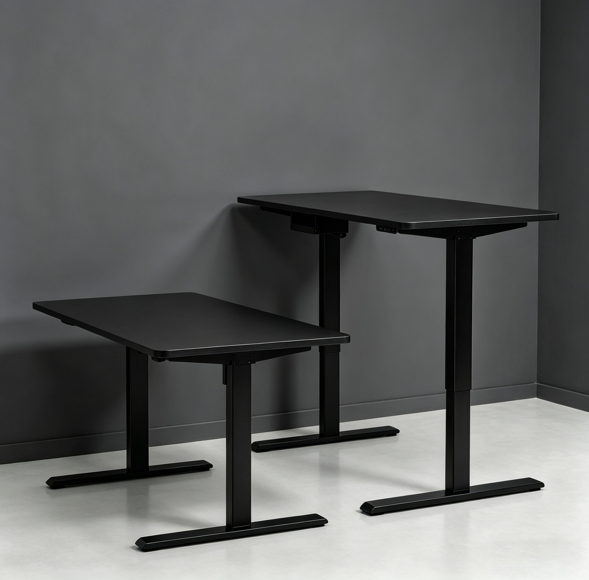 ZY-02 Dual Motor 2-Stage Electric Standing Desk with Fast Lift Speed and Stable Frame for Office Use