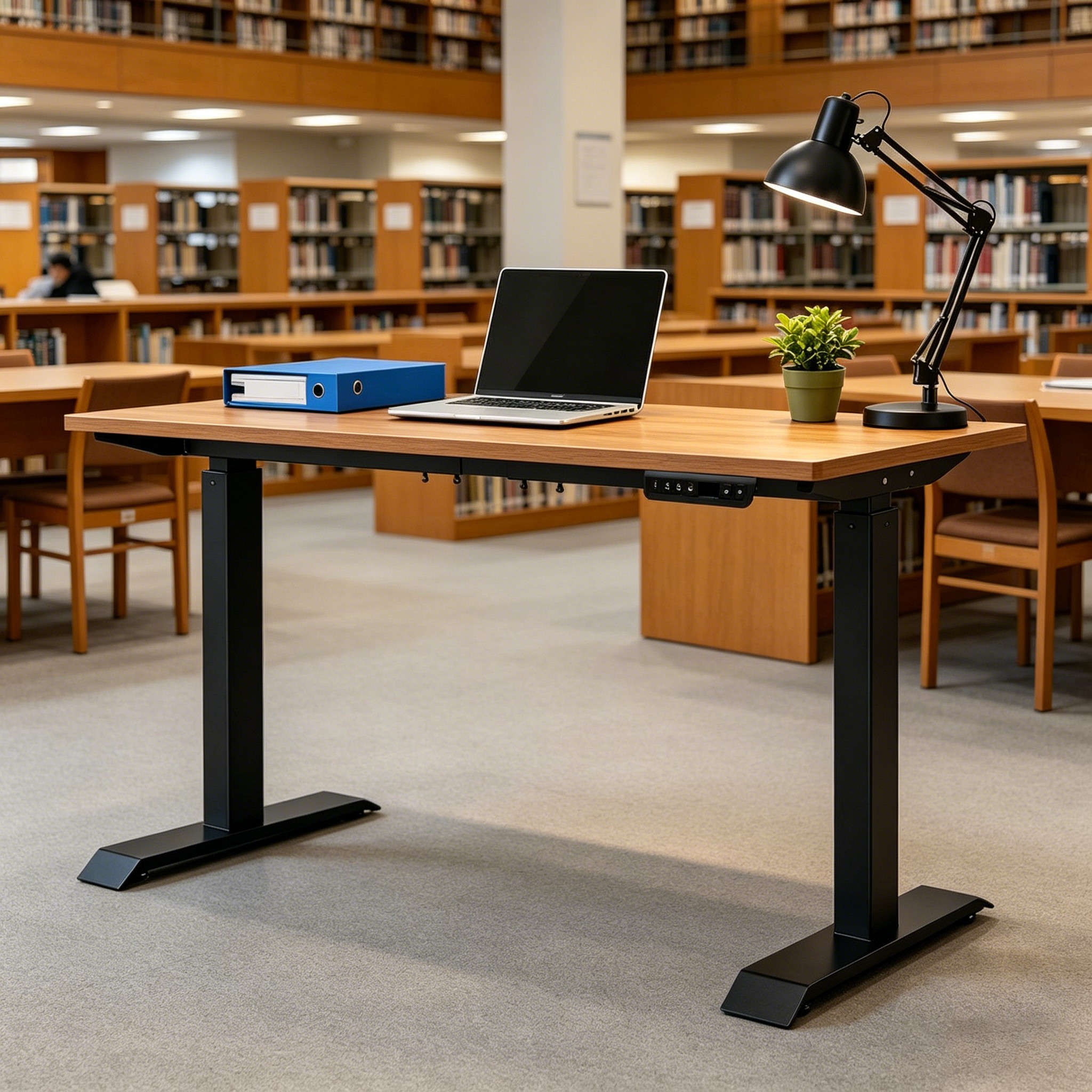 ZY-02 2-Stage Dual Motor Computer Standing Desk with Large Work Surface for B2B Workspace Suppliers