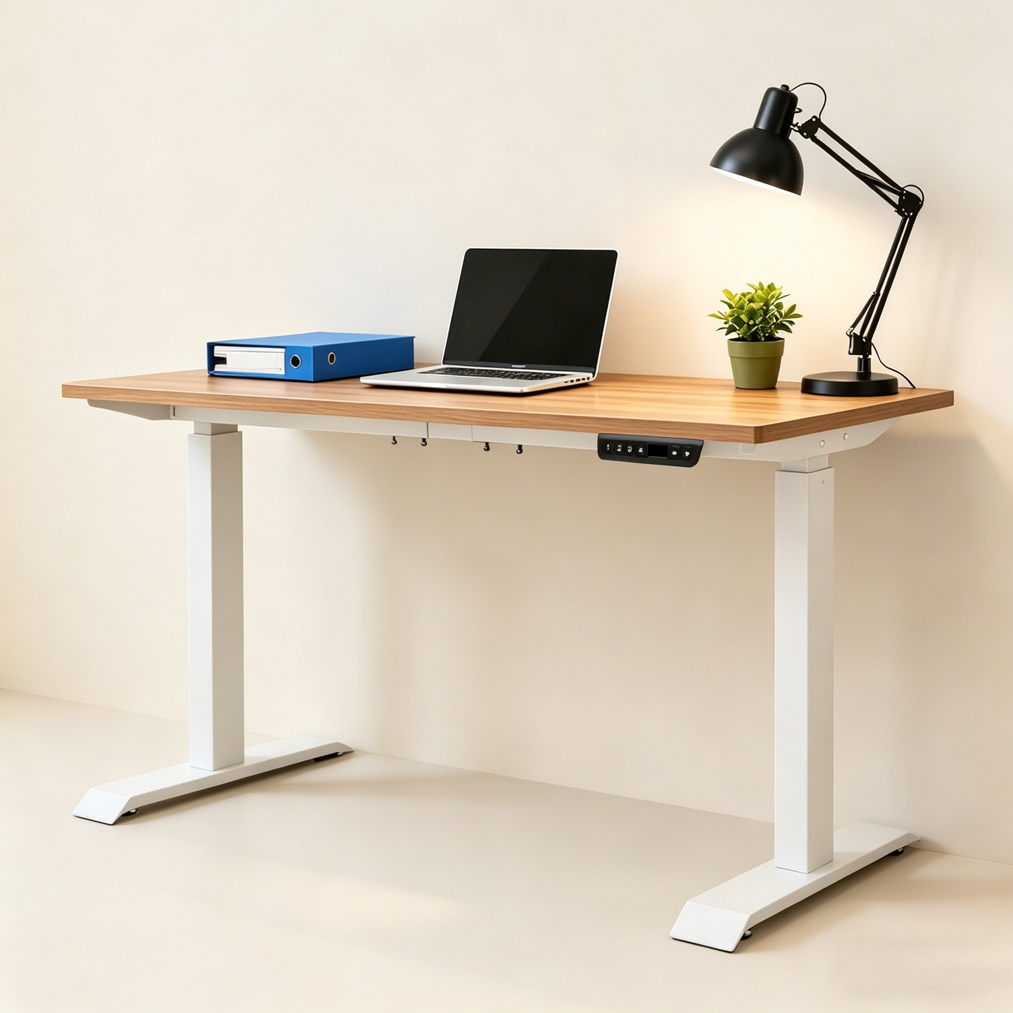 ZY-02 Executive Dual Motor Adjustable Standing Desk for Premium Corporate Workspaces