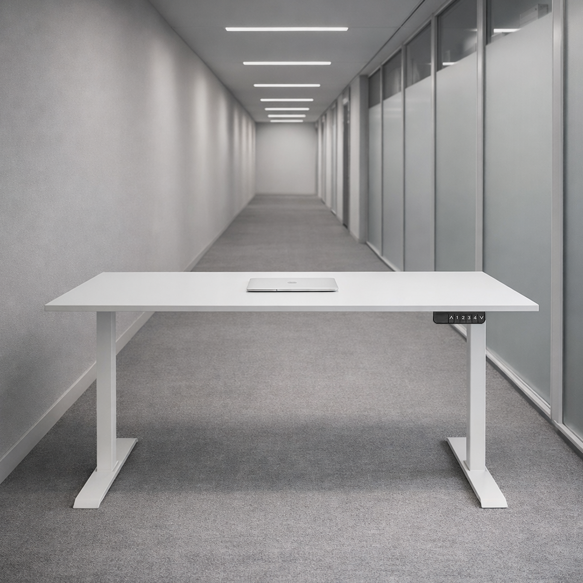 ZY-02 White Dual Motor Standing Desk Minimal Home Office