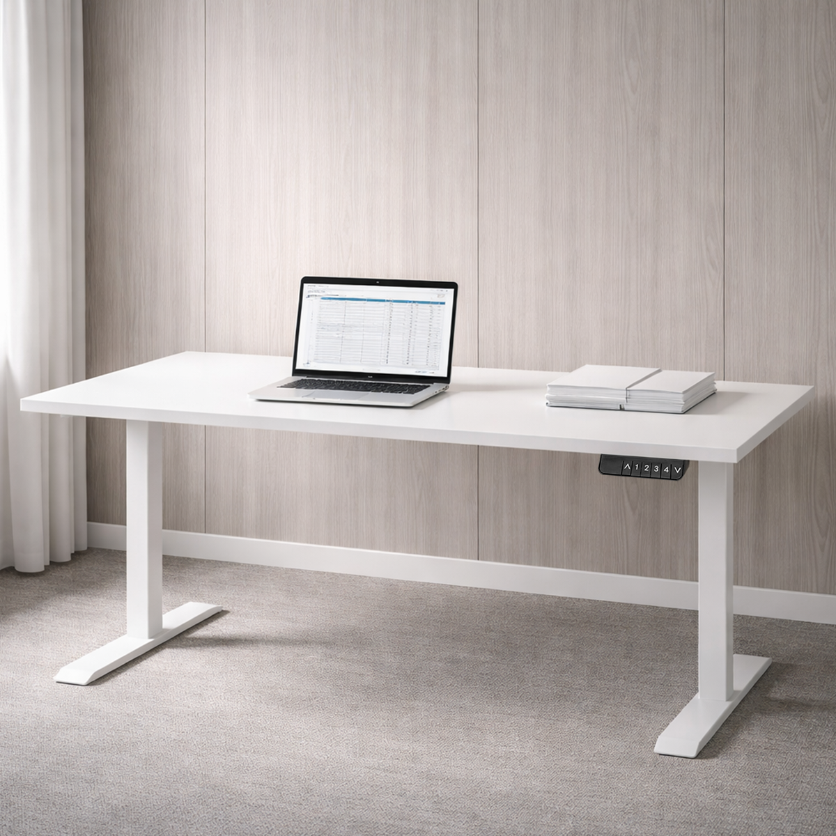 ZY-02 White Dual Motor Standing Desk Home Workspace