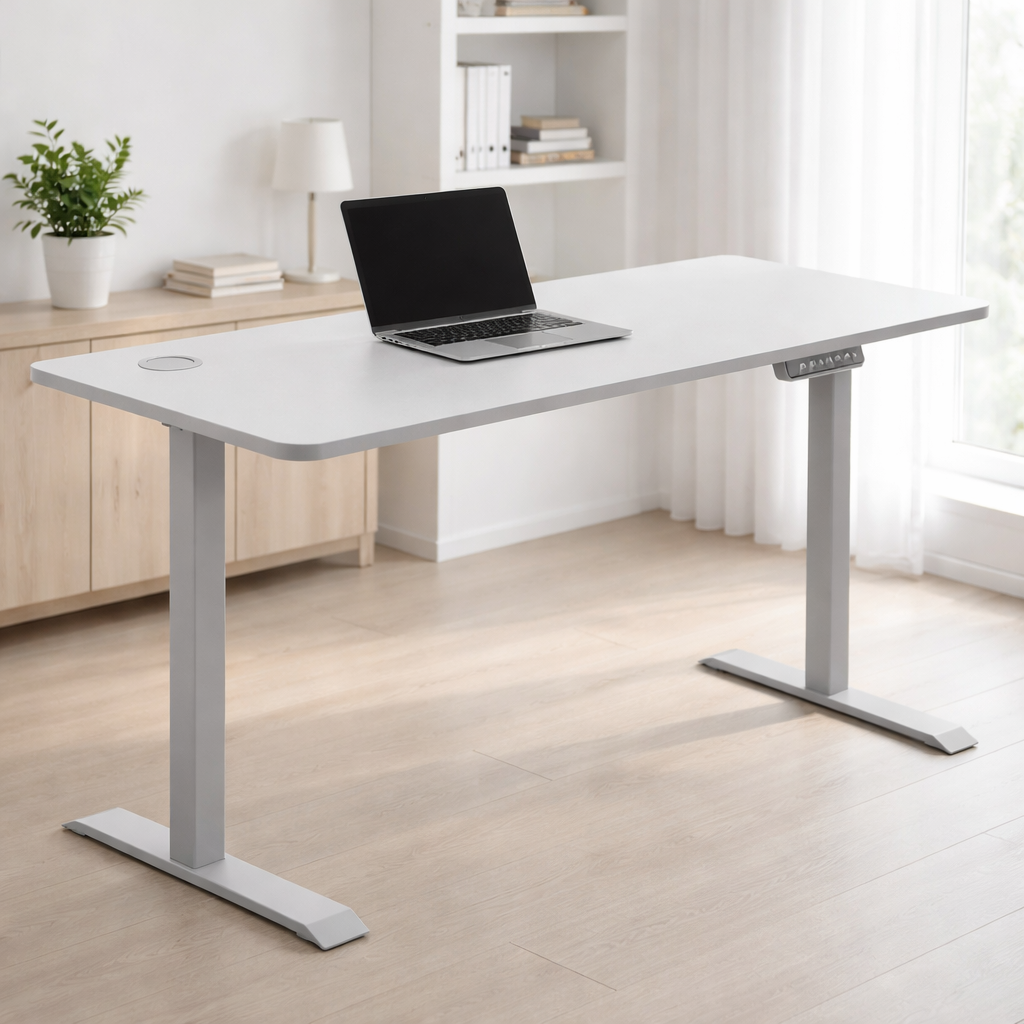 ZY-02 | Modern Home Office Standing Desk