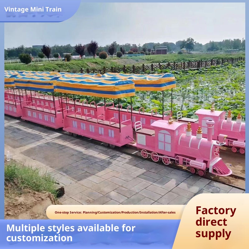 Outdoor Small Train Electric Amusement Equipment for Shopping Mall Playground Steam Track Steel FRP Chuangbo Model