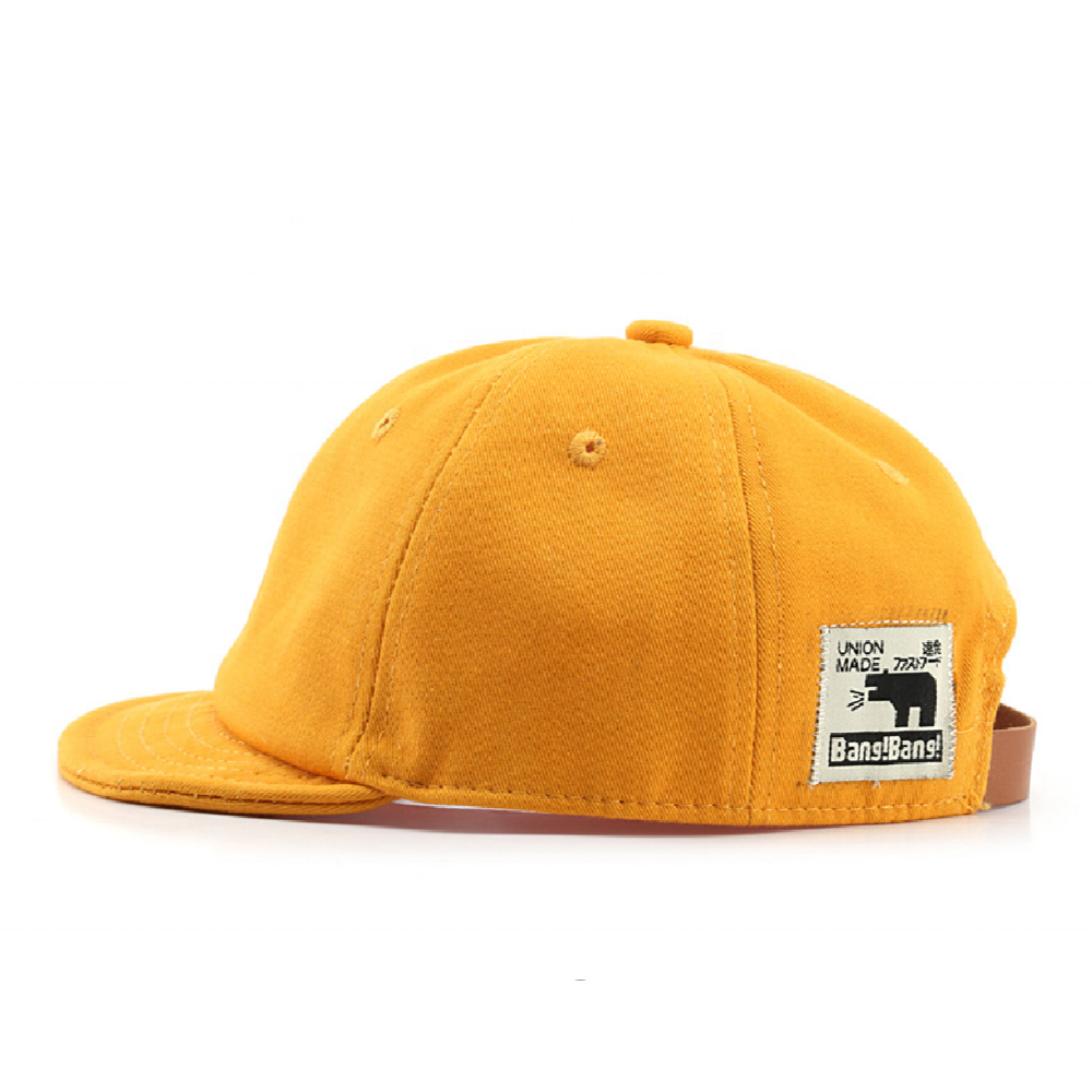 Factory Custom Unisex Wholesale Embroidery Outdoor Snapback Cap Short Flat Brim Baseball Hat Sport Trucker Caps