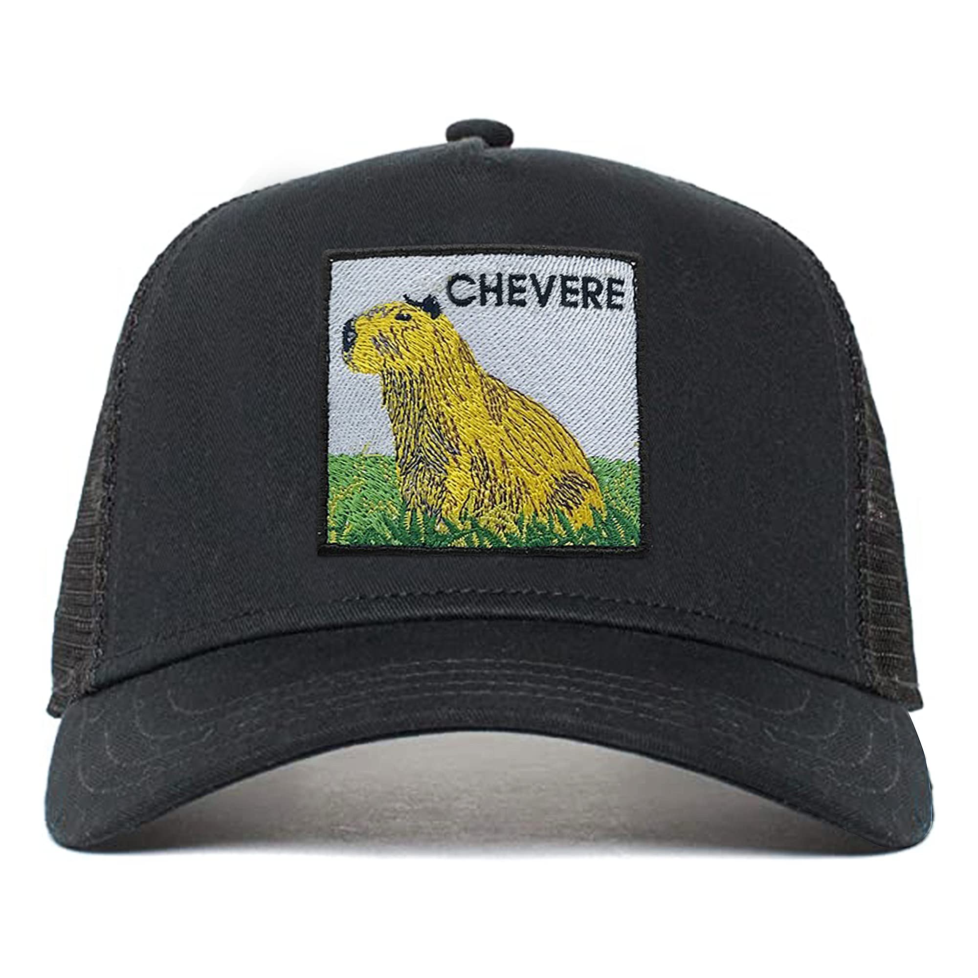 Customized Truck Mesh Cap Character Baseball Mesh Foam Cotton Hat Daily Cycling Outdoor Beach Sports Travel Trucker Cap Common