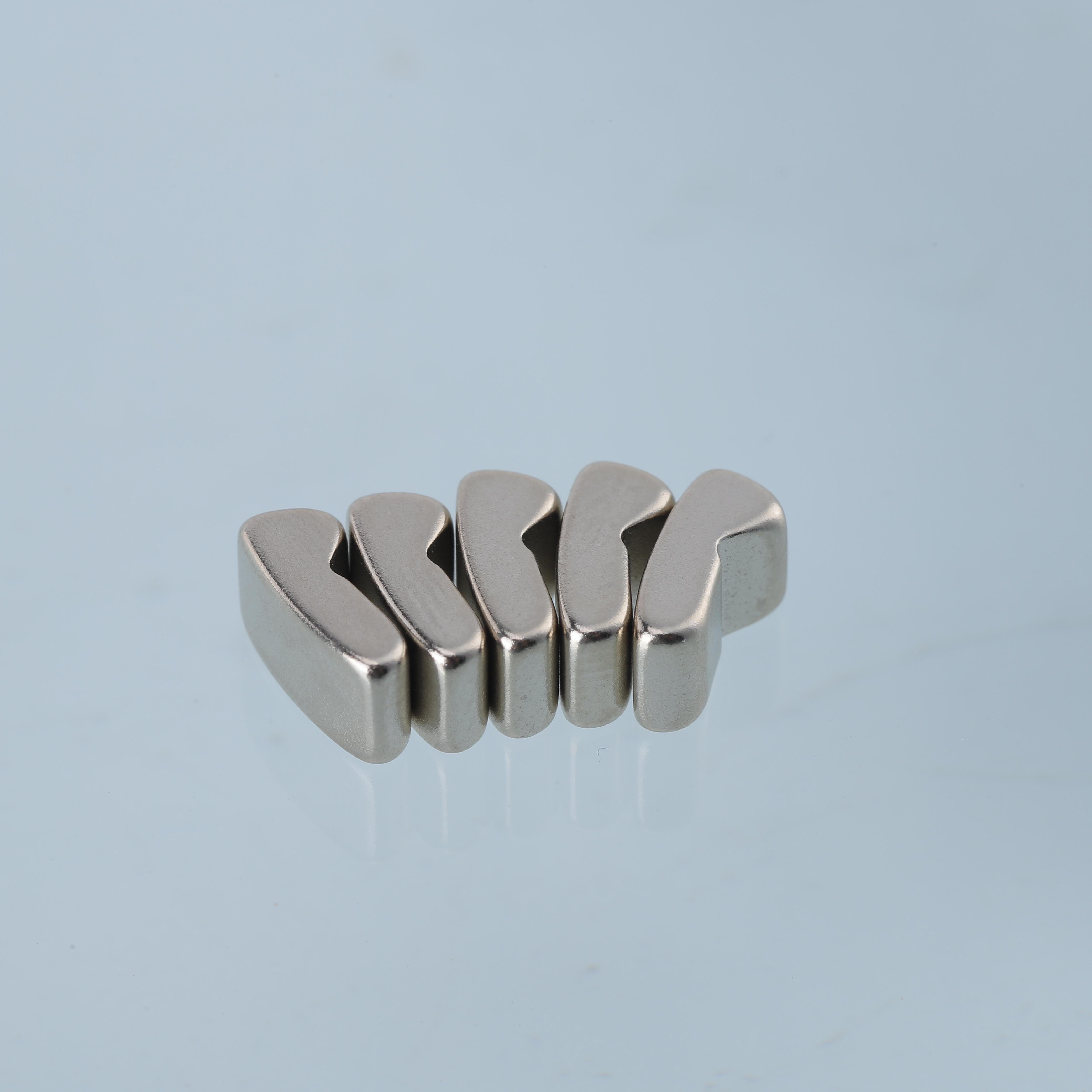 Custom-Shaped High-Performance Rare Earth Neodymium Magnet(1)