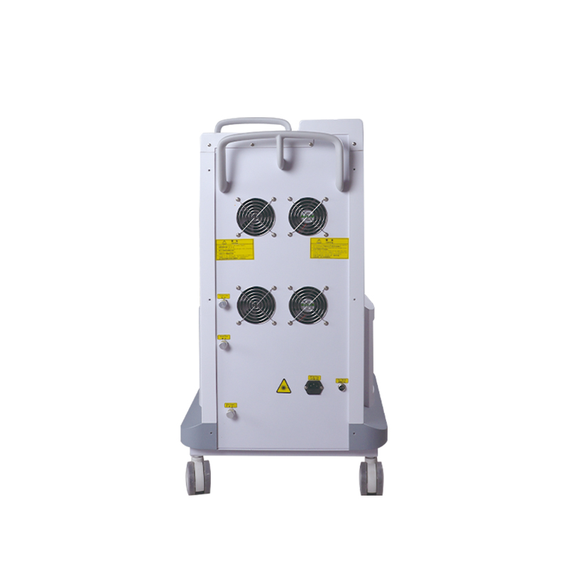 Portable CO2 Fractional Laser Skin Resurfacing Machine for Wrinkle Removal