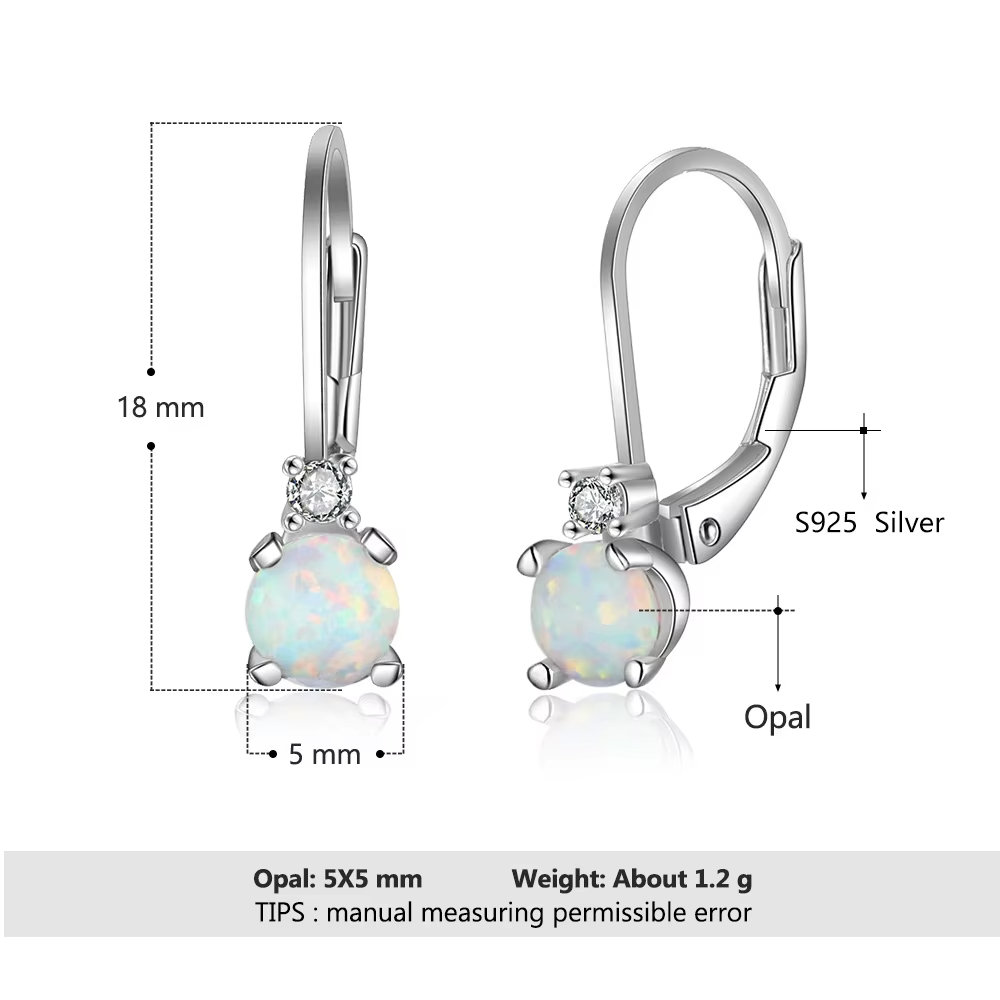Fashion Simple Ear Hook Earrings 925 Sterling Silver Round Opal Hoop Earrings for Women Fine Jewelry Party Accessories