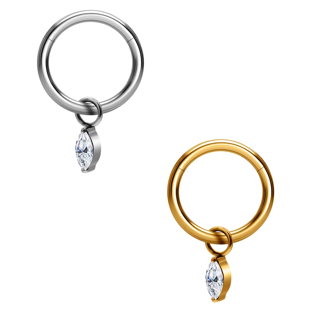 Titanium Hinged Segment Hoop Clicker Nose Ring Pendant CZ Inlay Tragus Cartilage Earrings Women Body Piercing Jewelry