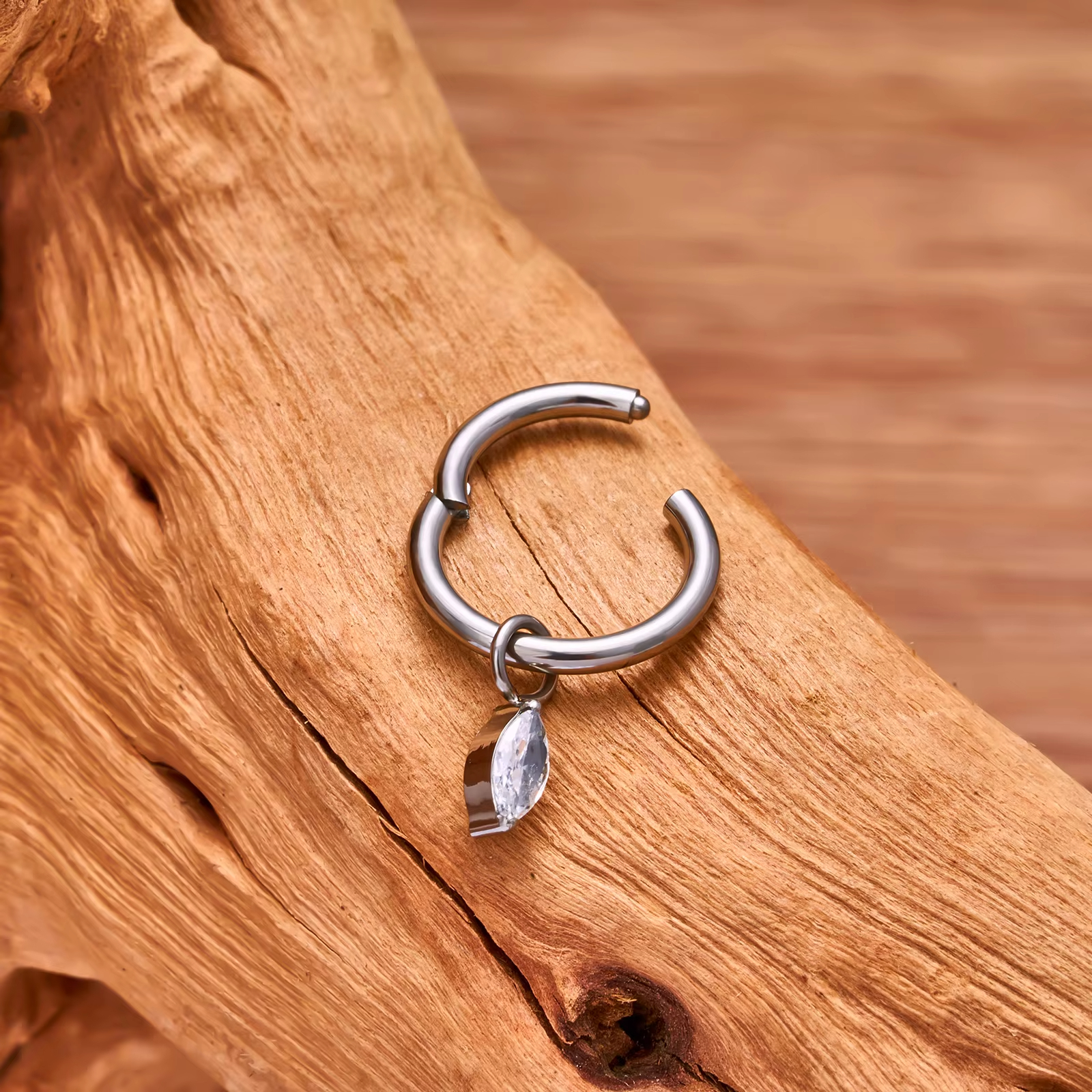 Titanium Hinged Segment Hoop Clicker Nose Ring Pendant CZ Inlay Tragus Cartilage Earrings Women Body Piercing Jewelry