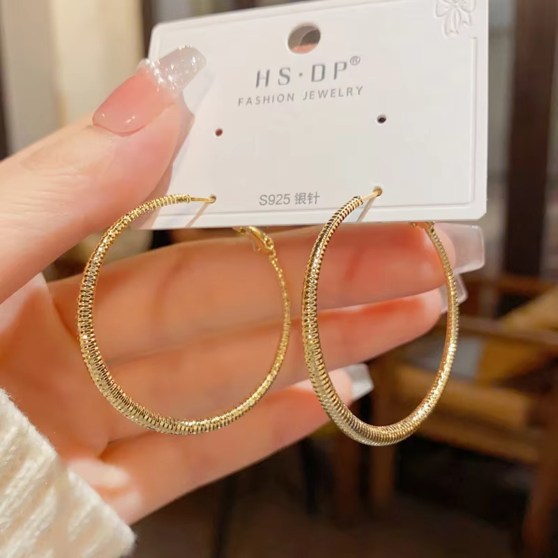 Wholesale Fine Hoop Earrings High-End Minimalist Versatile Trendy Exaggerated Metal Large Hoop Personality Fashion