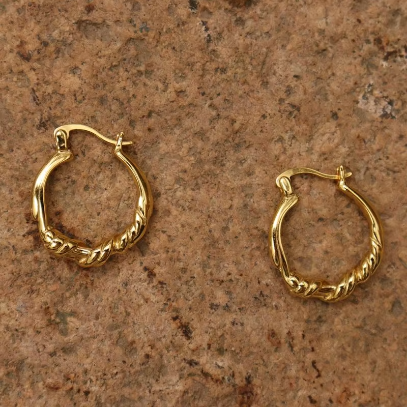 Chril April Trendy Style 925 Sterling Silver Gold Plated Simple Distortion Shaped Earrings