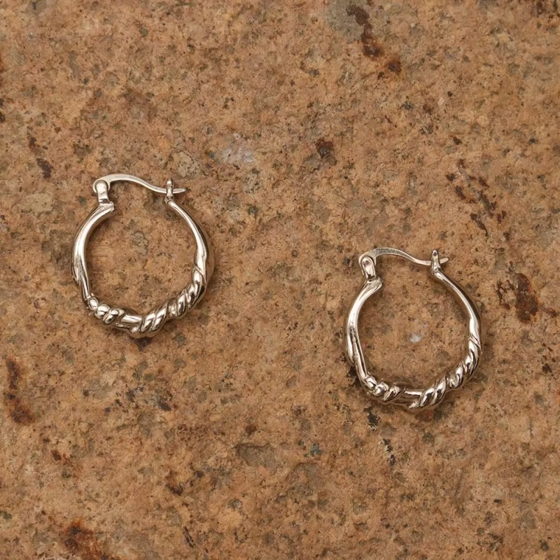 Chril April Trendy Style 925 Sterling Silver Gold Plated Simple Distortion Shaped Earrings