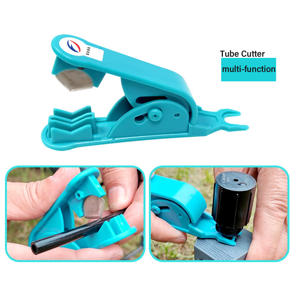 Turn Your Backyard Into a Blooming Paradise