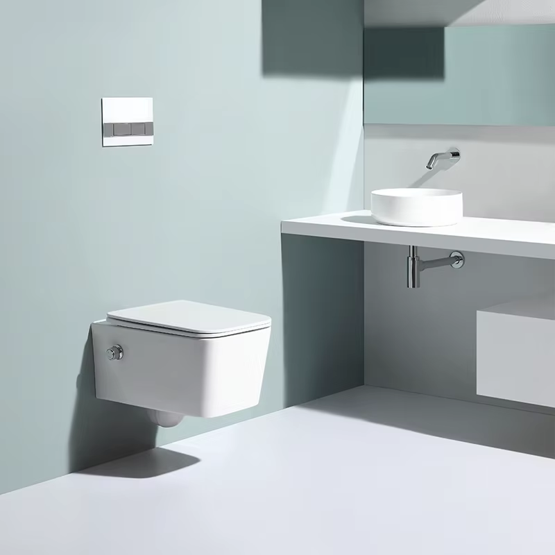 Modern Wall Hung Ceramic Toilet BF2467D-BD Dual Flush Bathroom WC