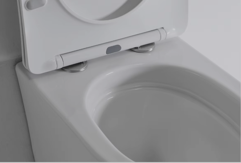 2419E Vortex Toilet Suspendu Mural 4.5L - Design Moderne et Économique