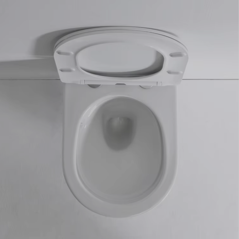 2419A Ultra Vortex Wall-Hung Toilet