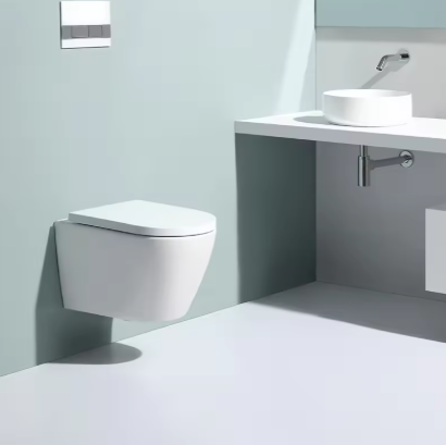 Compact Wall-Mounted Toilet with Concealed Frame and Soft Close Seat
