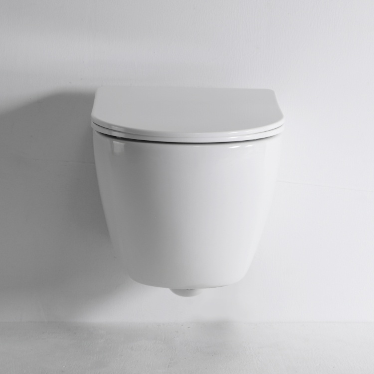 Modern Wall-Hung Toilet with Soft Close Seat and Rimless Design | Space-Saving Ceramic WC