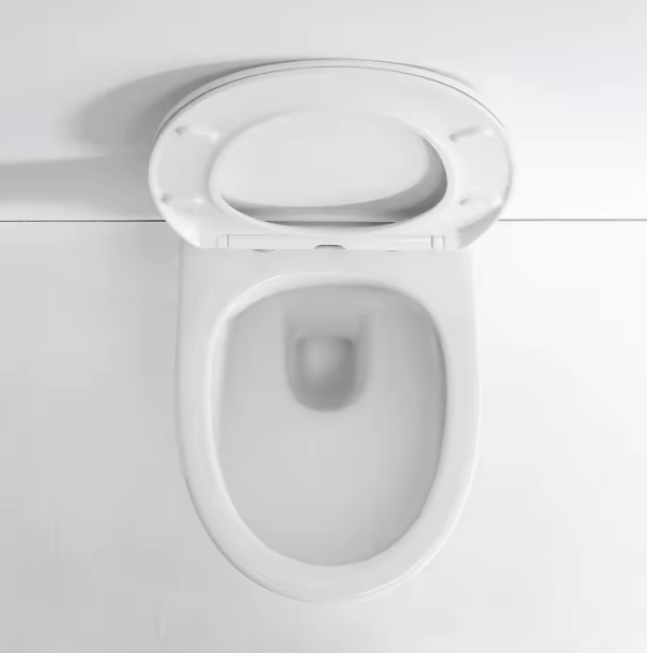 BF2420D Compact Wall-Hung Ceramic Toilet with Soft Close Seat and Dual Flush
