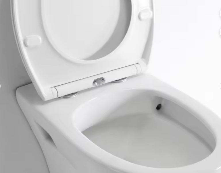 BF2420D Compact Wall-Hung Ceramic Toilet with Soft Close Seat and Dual Flush