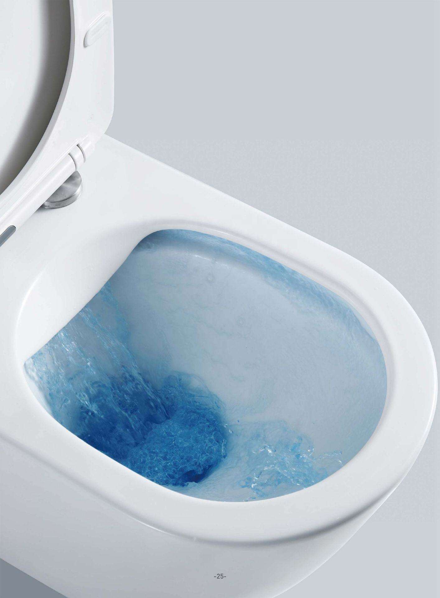 Modern Wall-Hung Ceramic Toilet with Soft Close Lid