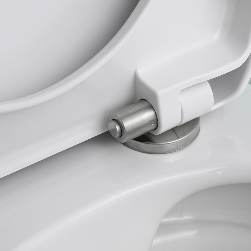 Modern Rimless Wall-Hung Toilet with Concealed Cistern | Dual Flush