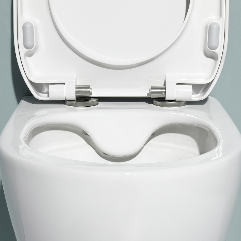 Modern Rimless Wall-Hung Toilet with Concealed Cistern | Dual Flush