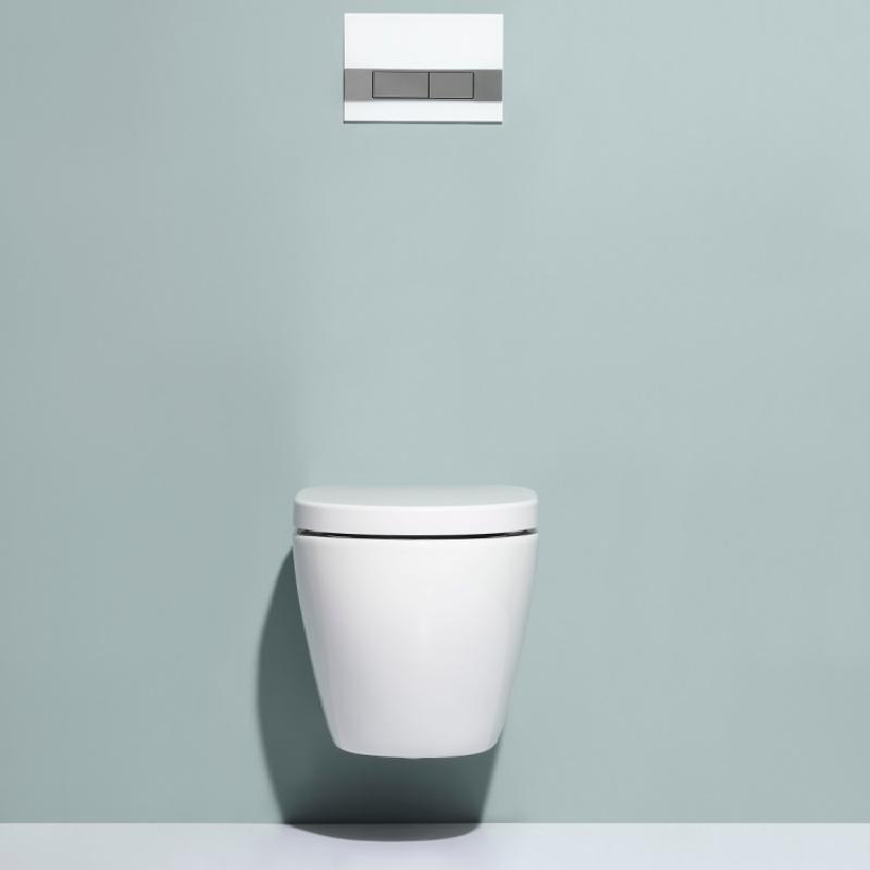 BF2412 Industrial Wall-Mounted Toilet Chic European Design with Robust Build Rimless & Hygienic Easy Clean Features