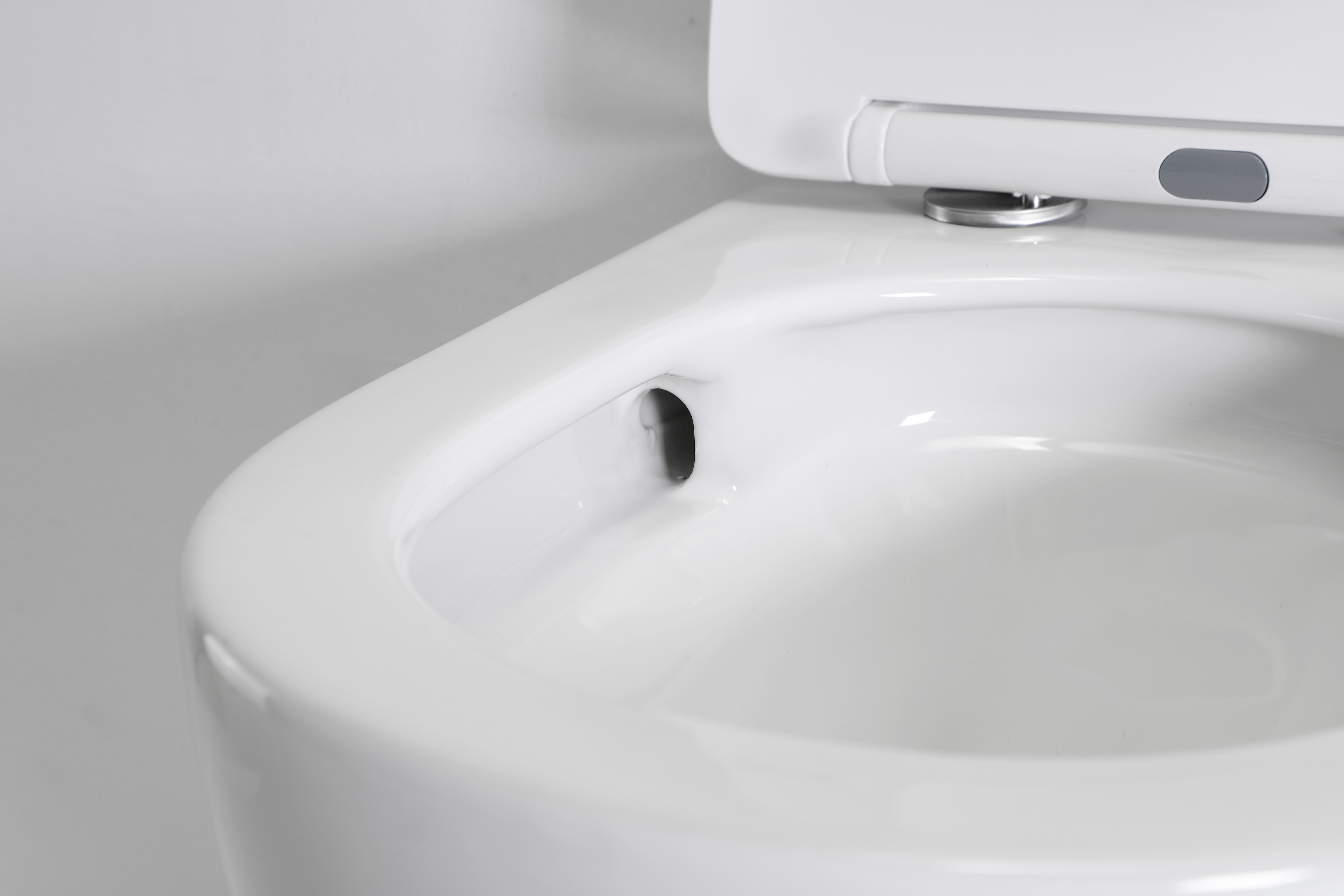 Vortex Wall Hung Toilet - Model BF2416, Self-Cleaning with Washdown & Rimless Flushing