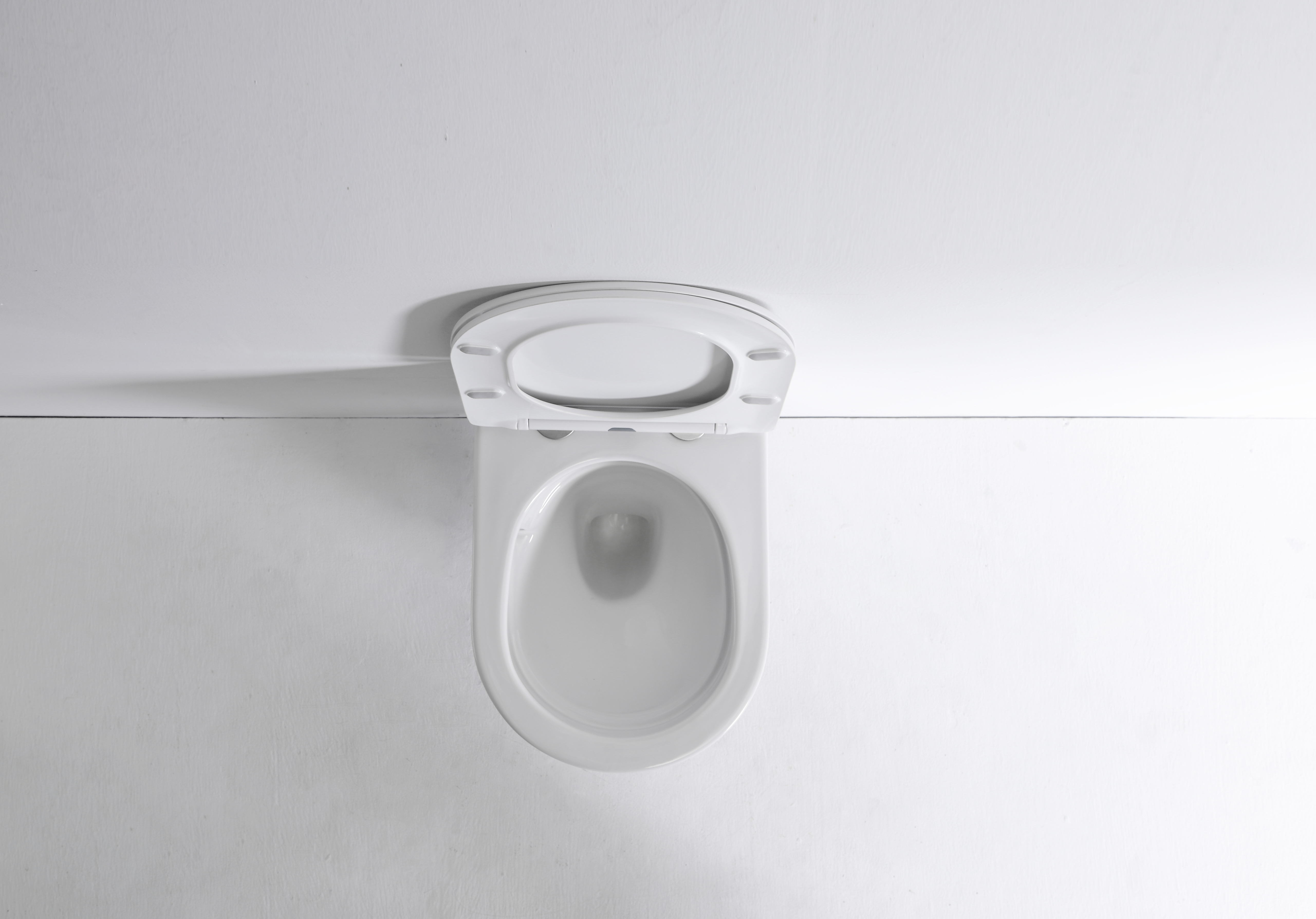 Slim Wall-Hung Toilet 2419D with Curved Design and Soft-Close Seat
