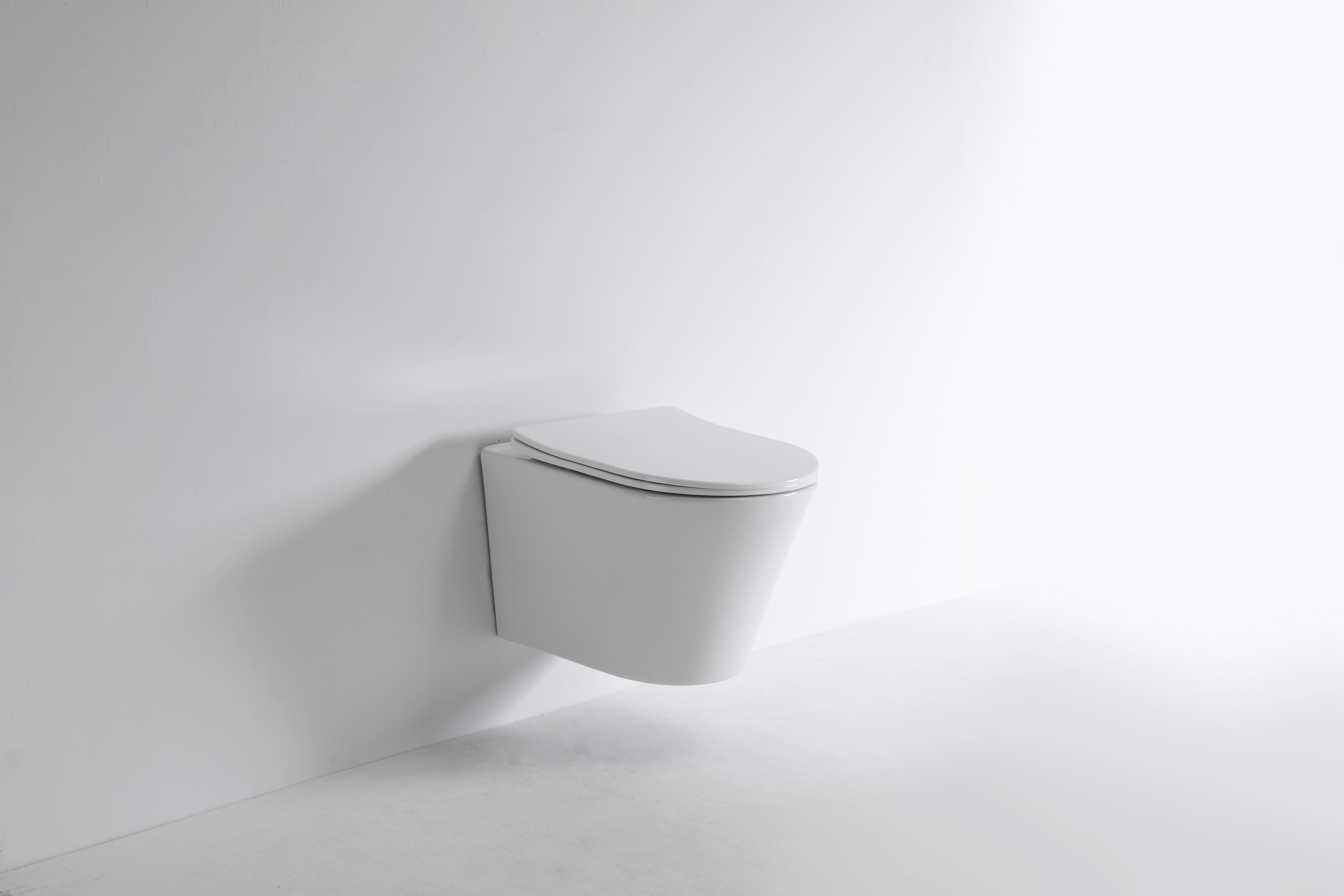 Slim Wall-Hung Toilet 2419D with Curved Design and Soft-Close Seat