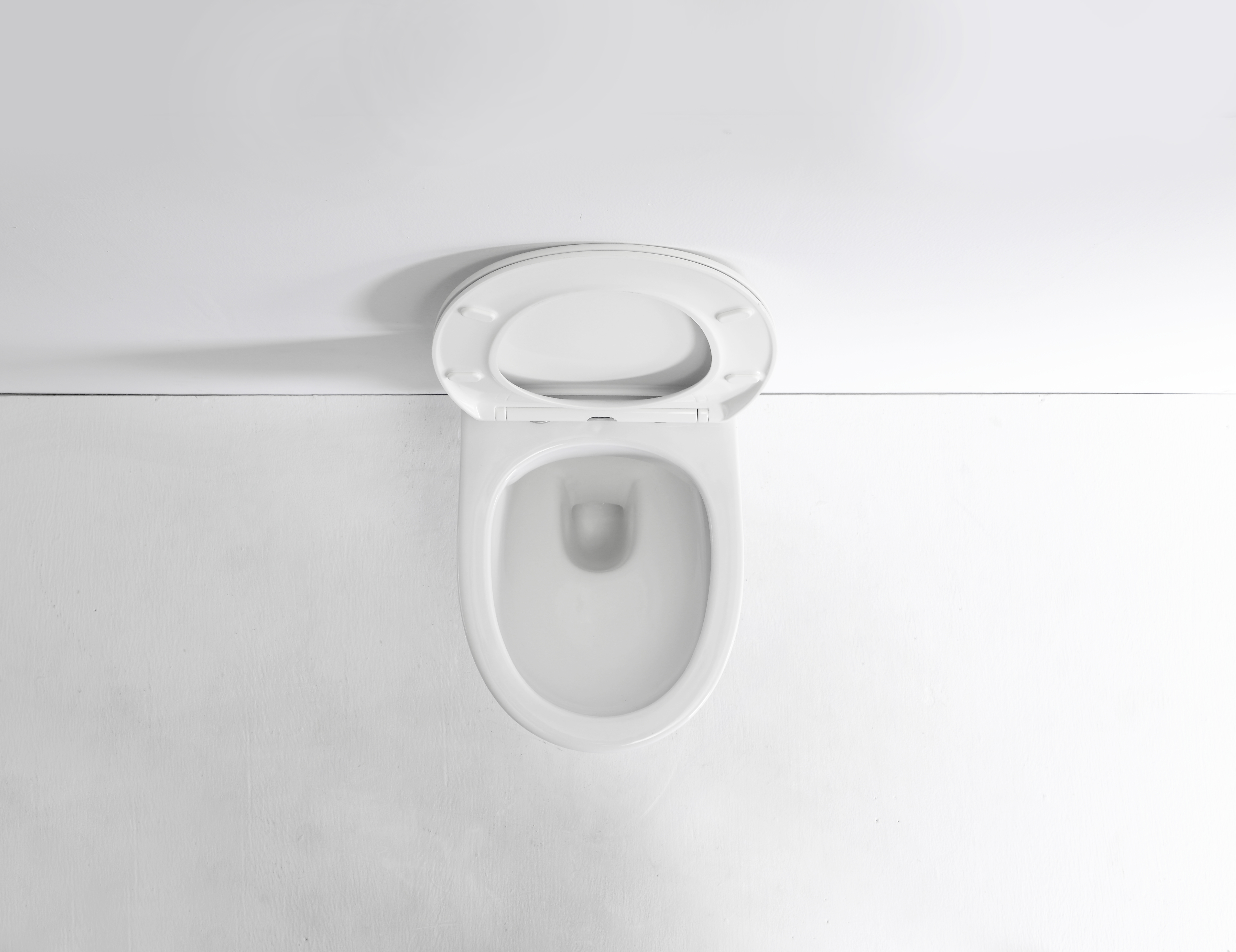 Toilette Suspendue 2420D - WC Moderne en Céramique Sans Bride