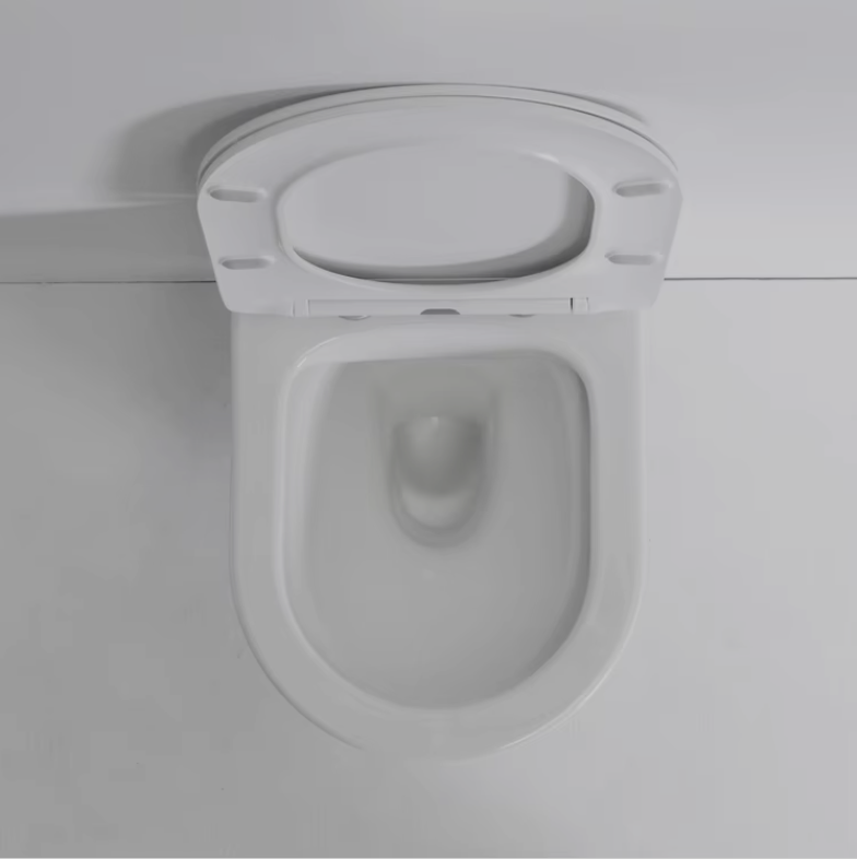 Wall Hung Toilet 2422E - Sleek Design, Quiet Flush, Space-Saving Ceramic WC
