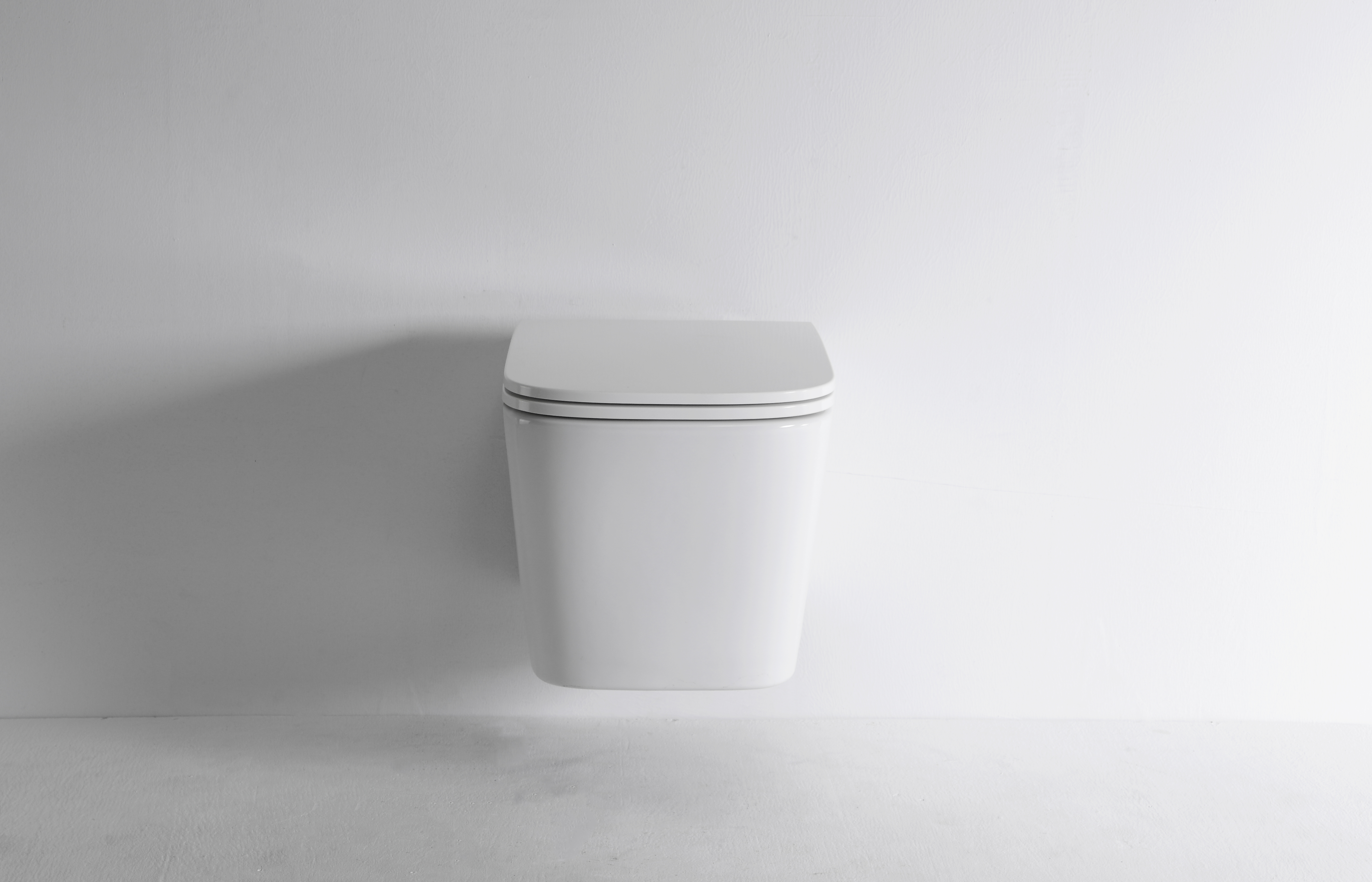 2440E Counter-Flow Rimless Wall Hung Toilet – Modern Concealed Tank Ceramic WC